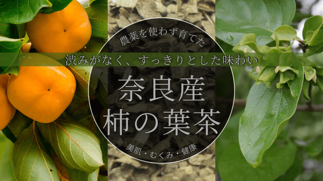 奈良県産柿の葉茶